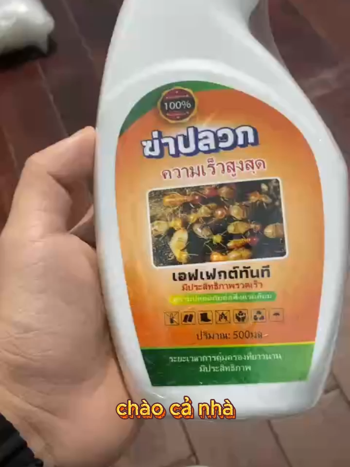 Xịt mối mọt Thái Lan 500ml #xitdietmoimot #xitmoithailan #xitmoimottangoc #xuhuong