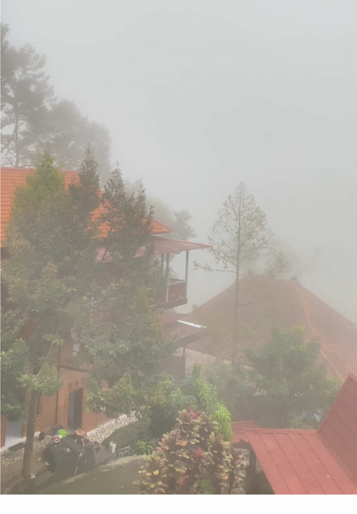 sesyahdu inii kabut wonosalam  haruss cobainn staycation di asriloka wonosalam 🥹🫶🏻 #asrilokawonosalam #fyp #syahdu #resortwonosalam 