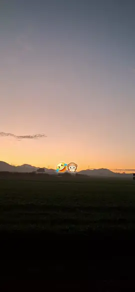 #😂😂😂😂😂😂😂😂😂😂 #capcut_editor_17_4k 