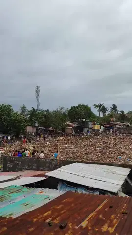 TINO LEAVES TRASH IN TALISAY SHORES WATCH: The shores of Sitio Asan, Poblacion, Talisay City, are now buried under a thick layer of trash and marine debris following the powerful storm and floods brought by Typhoon #TinoPH. A massive cleanup effort is immediately needed to address this public health and environmental crisis. 📍 Talisay City, Cebu 🎥 Contributed by Jeffry Celocia #TalisayCleanup #CebuAftermath #EnvironmentalHazard #SugboPH 
