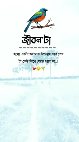 ❤️‍🩹🌱#foryou #foryoupage #nil_projapoti1551🥰🥀 #obupakhi131 #bdtiktokofficial 