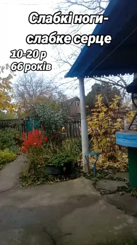 Людина старіє не роками, а ногами. #зарядкавдома #мотиваціябутиздоровим #самодисципліна #життябездієт #життябезпігулок 