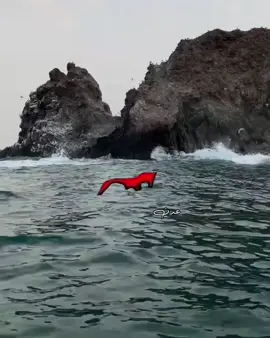 عدن عروسه البحر 💙#اكسبلورexplore #Yemen #عدن #جمال_الطبيعة #aden 