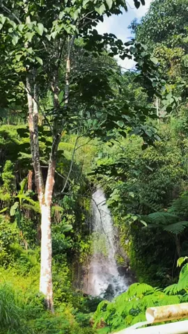 ☘️ #kuninganjawabarat #fyppppppppppppppppppppppp 