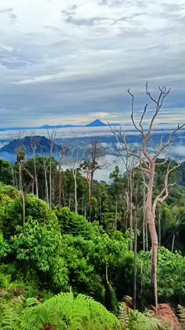mudahan ada waktu buat balik ke tempat ini #bukitmincau #fyp #berau 