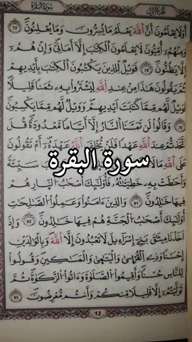 #ماتيسر من سورة البقرة#من الاية76الى الاية83#القران_الكريم #LIVEIncentiveProgram #LIVEwithlowfollowers 