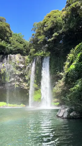 paradise on earth <3 | #jejuisland #southkorea #seogwipo #traveltiktok 