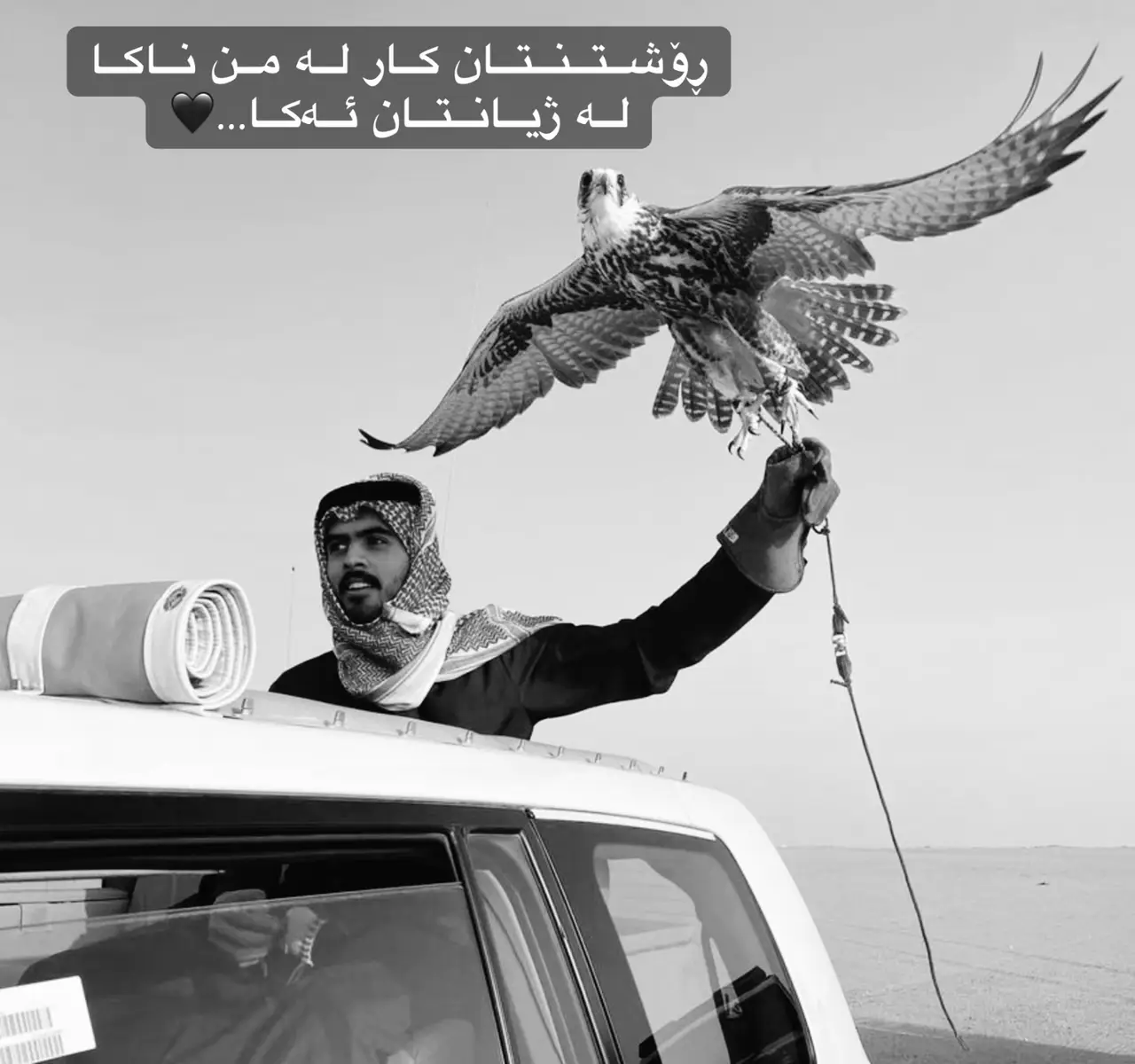 #creatorsearchinsights #haybattt0 #foryou🖤🖤 #active🖤 #foryoupage🖤🥀 