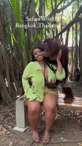 monkeys #chimp #zoo #viral #trending #money