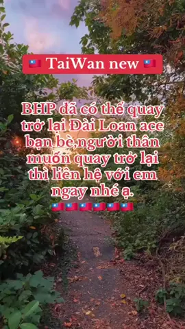 #bhp #nguoivietnamtaidailoan #nguoivietnamtaidailoan🇻🇳🇹🇼 #viral #How T Fake Tan Ur Face 