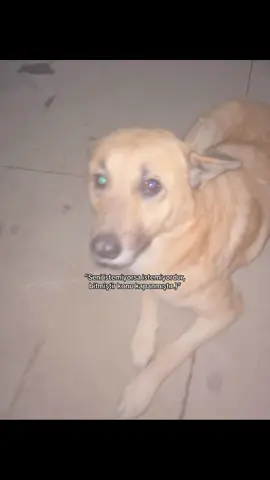 Taşıl gözlum #biləcərim #fypage #azerbaijan 