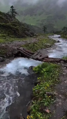 #الابراج_والحب #الابراج_الفلكيه #paratii #parati 