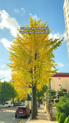 Yo pora? #fypppppppppppppp #xyzbca #foryourpage #cilacap24jam #autmn🍁 