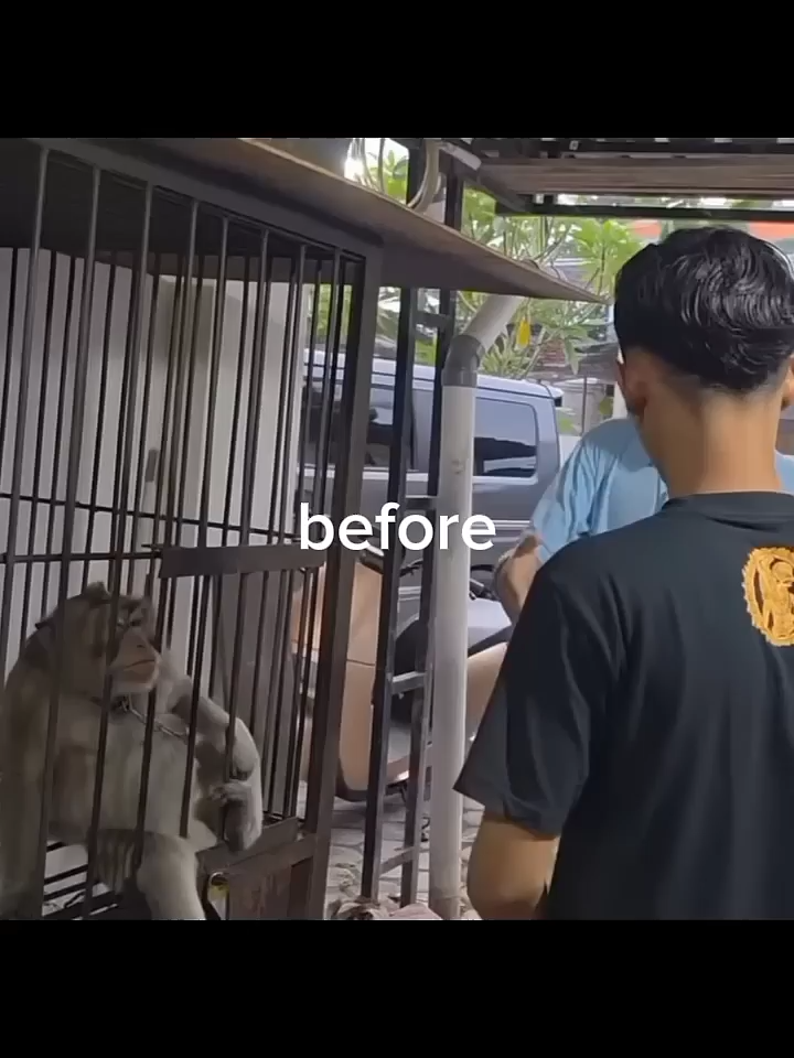 kesabaran mas nemo setipis tisu🤣🤣 #masnemo #memes #memesdaily #funnyvideo #core #fyp #funny