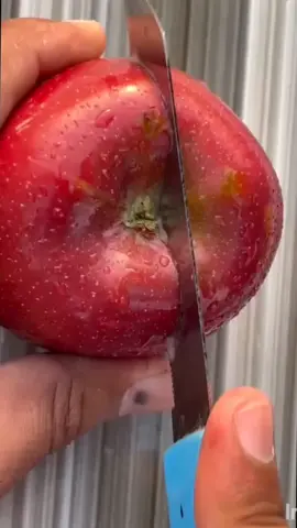 #100k #foryoupage #500k @SHAKEEL SHAH #bijaligharmaulana3 #fyyyyyyyyyyyyyyyy 