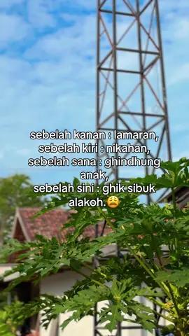 #katakatamadura #katakatamaduraviral #madurapride #madurafyp #fyp 