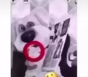 حظ ولا سواقه😱👉🏻⭕️#explore 