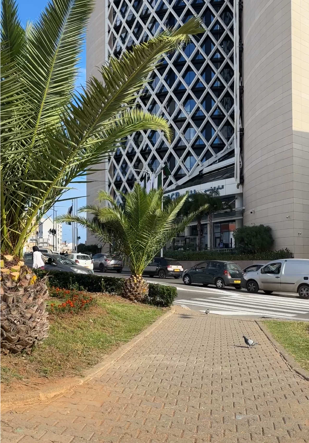 Walking in #Algiers #🇩🇿 