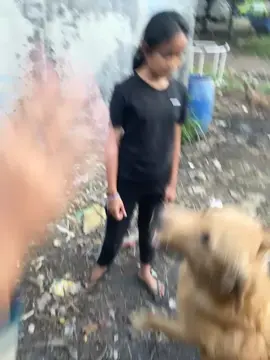 #porbi_sumbar #porbimarenten #porbimarentensumbar #porbi50kota @Bilal_jamalullail 