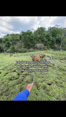 Hm🤣 #nttpride🏝🔥 #fyp 