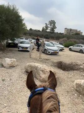 #اخويا🔥❤️ #يسمين_الهيب 🔥🔥❤️#ماشاءاللّٰه_سبحان_اللّٰه_💖 #خيل_وخياله🐎 #الحمدلله_دائماً_وابداً❤️🧿❤️ 