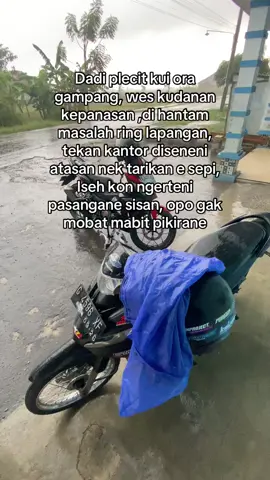 #koprasimingguan #nasabahkoperasi #plecitnkri #plecithitz #fyp 