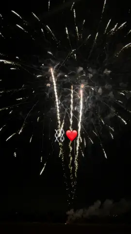 #viralestiktok #perteeee #videoviral #seguimi #voliamoneixte✈🦁🔝💯💥 