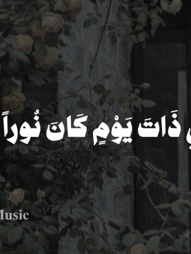 ابي ذات يوم كان نوراً لنا 🤎 #بدون_موسيقي #اناشيد #fyp  #ابي_ذات_يوم_كان_نور_لنا #no_music 