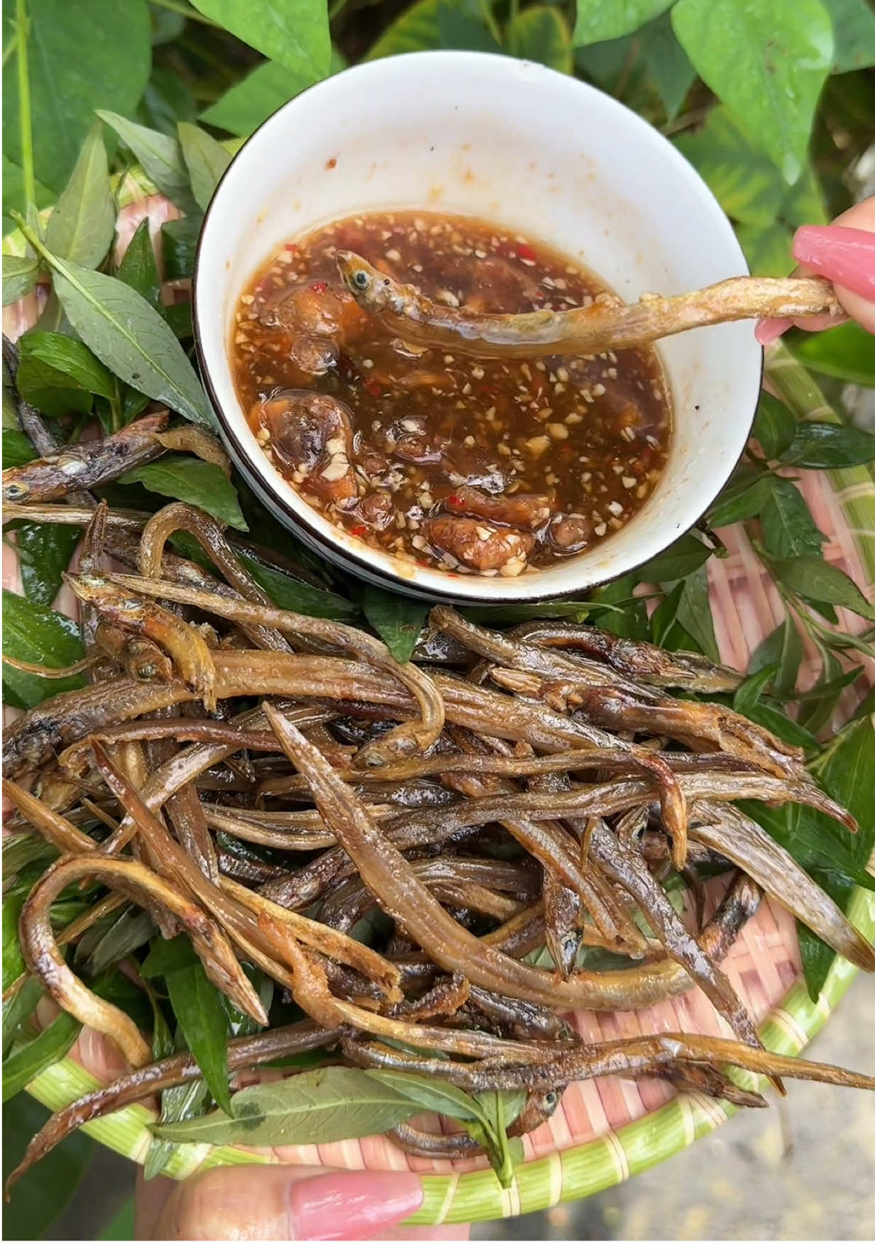 Khô này nhon quá mà hông biết kêu bằng khô gì luôn #kho #khocalimkim #khocasunsin 