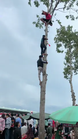 Sóc trăng tui cỡ này #xuhuong #đuaghengosoctrang #soctrang 