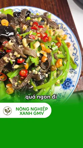Thử liền tay loại rau này đi các bác ơi 🥰 #rautienvua #TikTokFood #ancungtiktok #mukbang #nongnghiepxanhgmv 