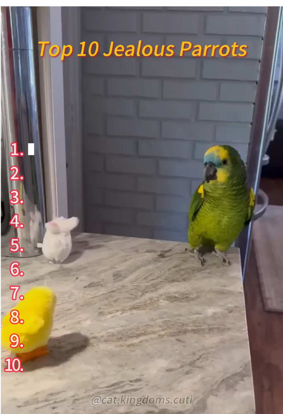 This is a jealous parrot #foryou #funny #typ #cute 