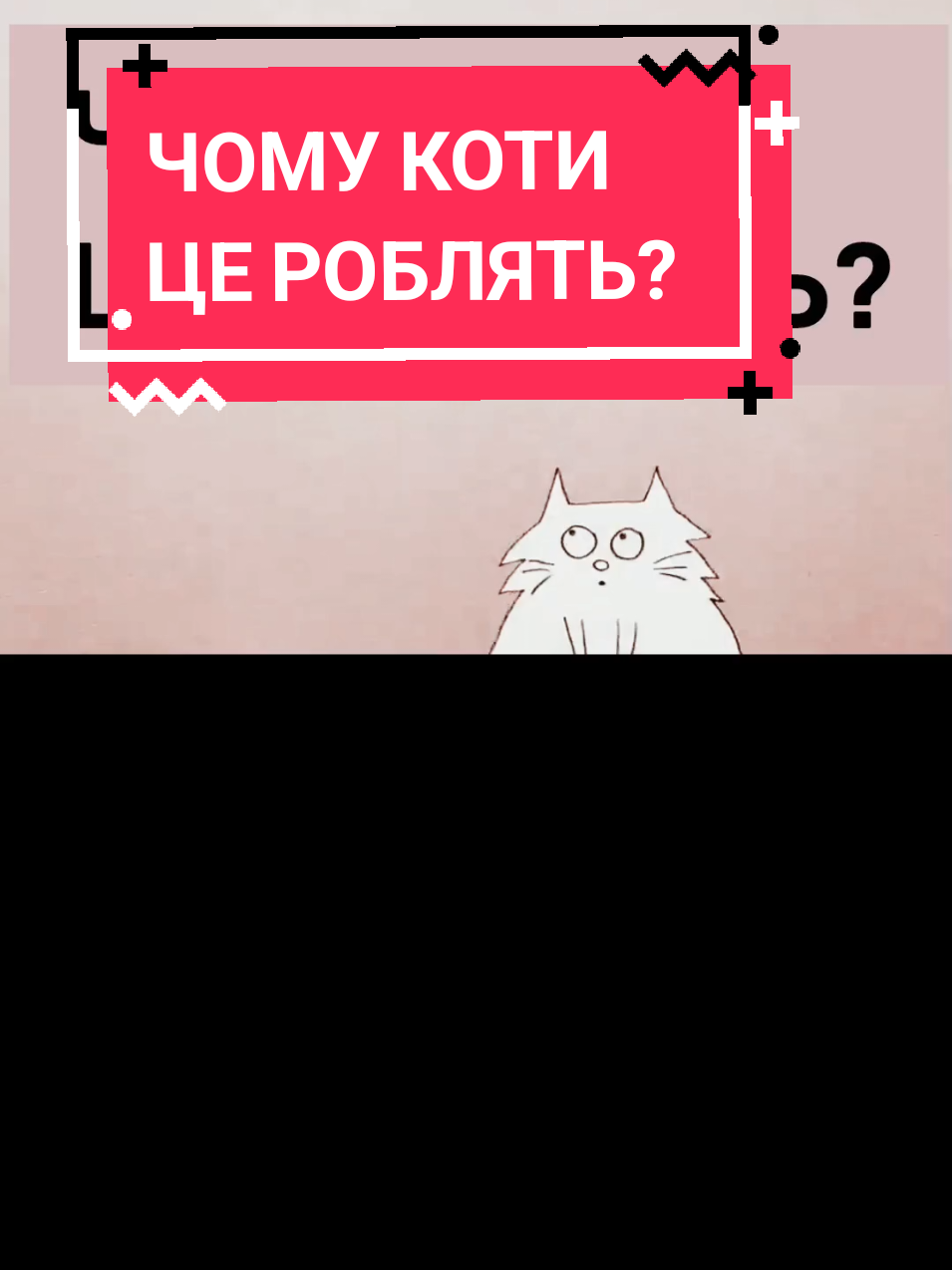 Вони муркочуть, дряпають меблі, пхаються у коробки й дивляться на нас згори шафи - але чому? Усе це не просто примхи. Це - мільйони років еволюції, що перетворили диких мисливців на наших домашніх партнерів 