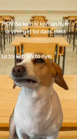 @𝙻𝚒𝚐𝚑𝚝 @CR🔆 @Kelcy🌺!! @𝓗ℰŊꋪƖርҜ @𝑓𝑒𝑙𝑖𝑥𝑖𝑎👣 @塞西 🥀🫩 Ena foi la pa ressi tini mem sa🤣🤣🤣🤣