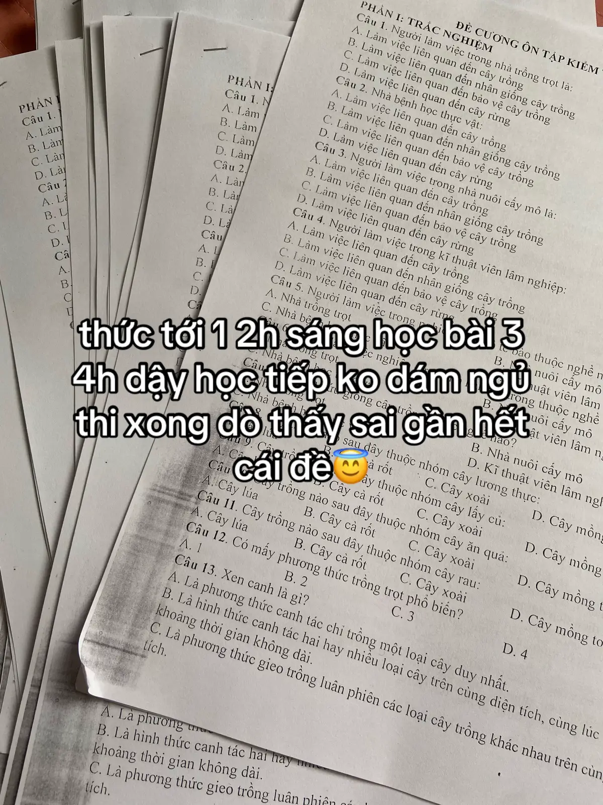 #TikTokAwardsVN #TikTokAwardsVN #xh #xhtimvideo 