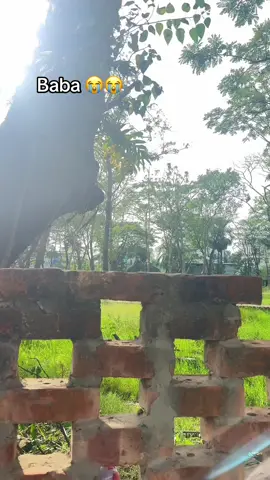 ২ বছর বয়সে এতিম আর ১৭ বছর বয়সে বিধবা আহা জিবন 😭😭 দেখি ভাগ্য আমাকে নিয়ে আর কতো খেলতে পারে...😅 সর্বহারা করে দিছে আল্লাহ আমাকে..😓😅#unlucyforeverything😢 #foryoupageofficiall #foryoupageofficiall❤️❤️tiktoklove #SmallBusiness #Smoth 