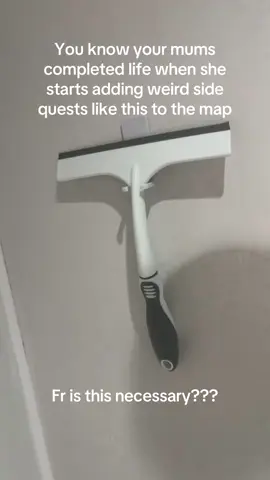 Different breed of cleanfreak #fyp #familia #cleaning #fyppp 