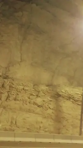 আমি পাগল তোর লাগিয়া❤️‍🩹 #foryou #fyp 