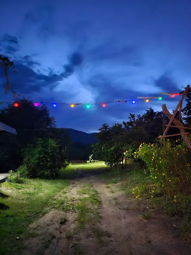 我们要记得那些黑暗中默默抱紧你的人，逗你笑的人，陪你聊天的人，坐车来看望你的人，陪你哭过的人，在医院陪你的人，总是以你为重的人，带着你四处游荡的人，说想念你的人。#Life #single #crazy #cambodia #金边 #pp #Hiking 