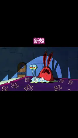 新殼 #卡通 #兒童  #流量密碼 #海綿 