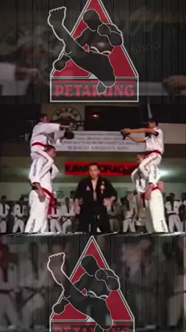 TENDANGAN LINGKAR MEMUTAR GURU BADAI #ponbeladirikudus2025 #tarungderajat #boxer #farellderajat #TARUNGBEBAS 