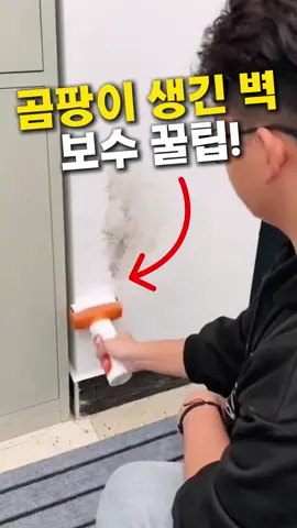댓글에 '곰팡이'적어주시면 구매처 알려드릴게요! 👇바로 구매 원하시면 1️⃣ 채널 프로필에 링크 클릭  2️⃣ 제품번호 16번 검색 #페인트 #인테리어 #곰팡이제거 