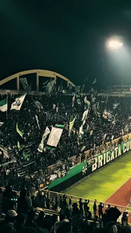 hari ini dan selamanya🟢  #psssleman #bcs #bcsxpsssleman 