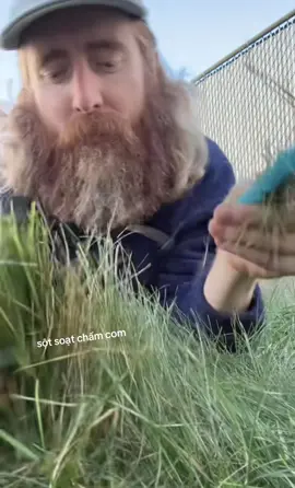 Cắt tóc chuẩn bị tháng 11 bc nào! 