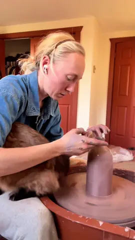 My cat won’t let me work😩😼#cat #cats #catlover #catsoftiktok #kitten #fyp 