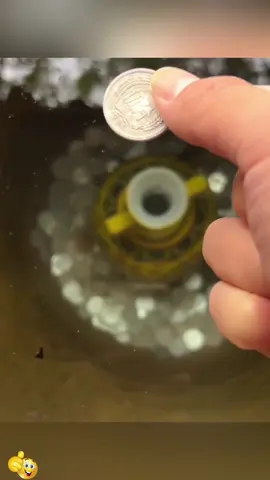 Kondisi terkini mushola PONPES AI Sidoarjo ambruk saat salat ashar#jtvjember #evakuasi #Sidoarjo #fyp 