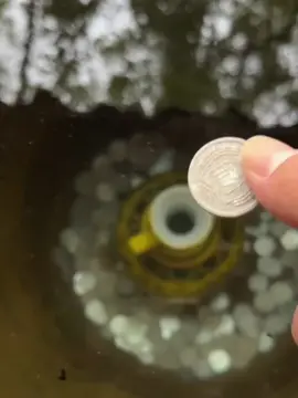 Kondisi terkini mushola PONPES Al Khoziny Sidoarjo ambruk saat salat ashar #jtvjember #evakuasi #sidoarjo #fyp