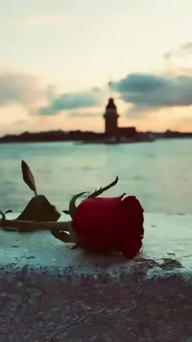 💫 ربما لم نكن الأفضل، لكننا كنا الأصدق حضورًا ووفاءً... وهذا يكفي. #كلمات_من_الروح #وفاء #تيك_توك_عربي #wisdombytes20 #TikTokArabic 