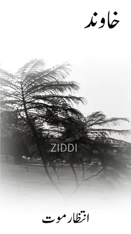 سب کے شوہر ایسے ہی ہیں بس ہر وقت مصروفیات کے بہانے چاہیے بیوی کو وقت نہیں دینا باقی سب کاموں کے لیے وقت ہے  #🙏🙏🙏😢😢😢💔💔💔💔💔💔😢😢 #tiktokteampleasedontunderviewmyvideo #tiktokaccountviralvideos #creatorsearchinsights #mrbeastchallenge 