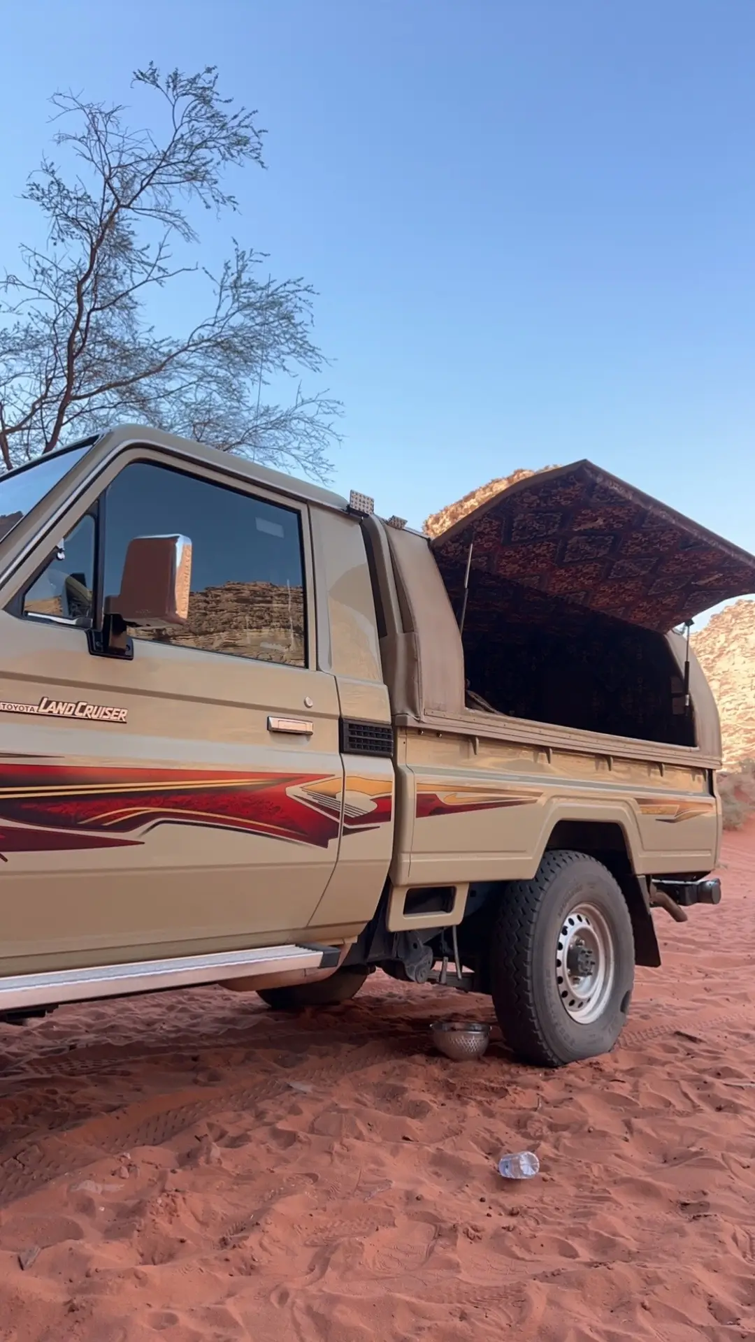 تمشيه تربان 🌹